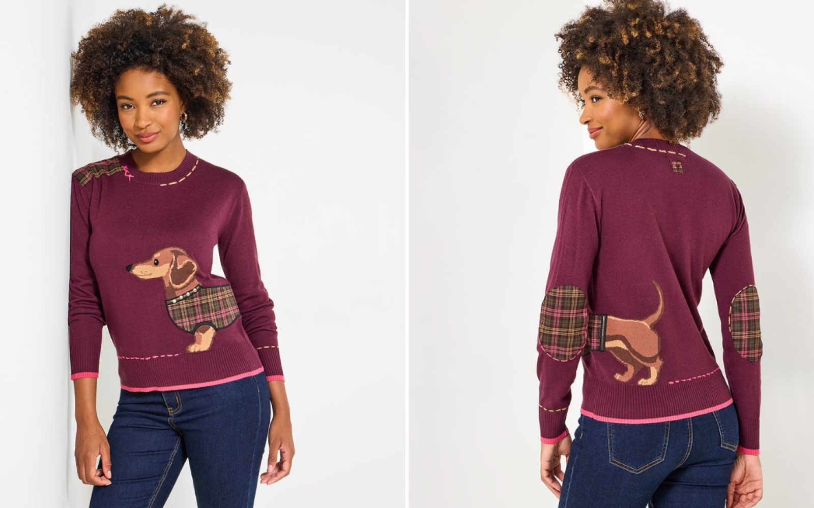 Ladies Joe Browns Dog jumper